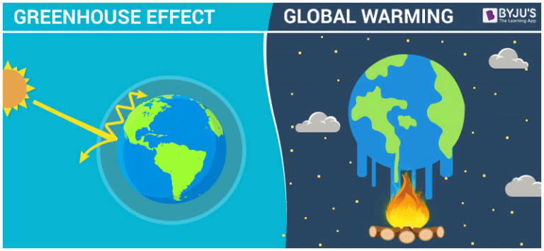 What Is the Difference Between Greenhouse Effect and Global Warming ...