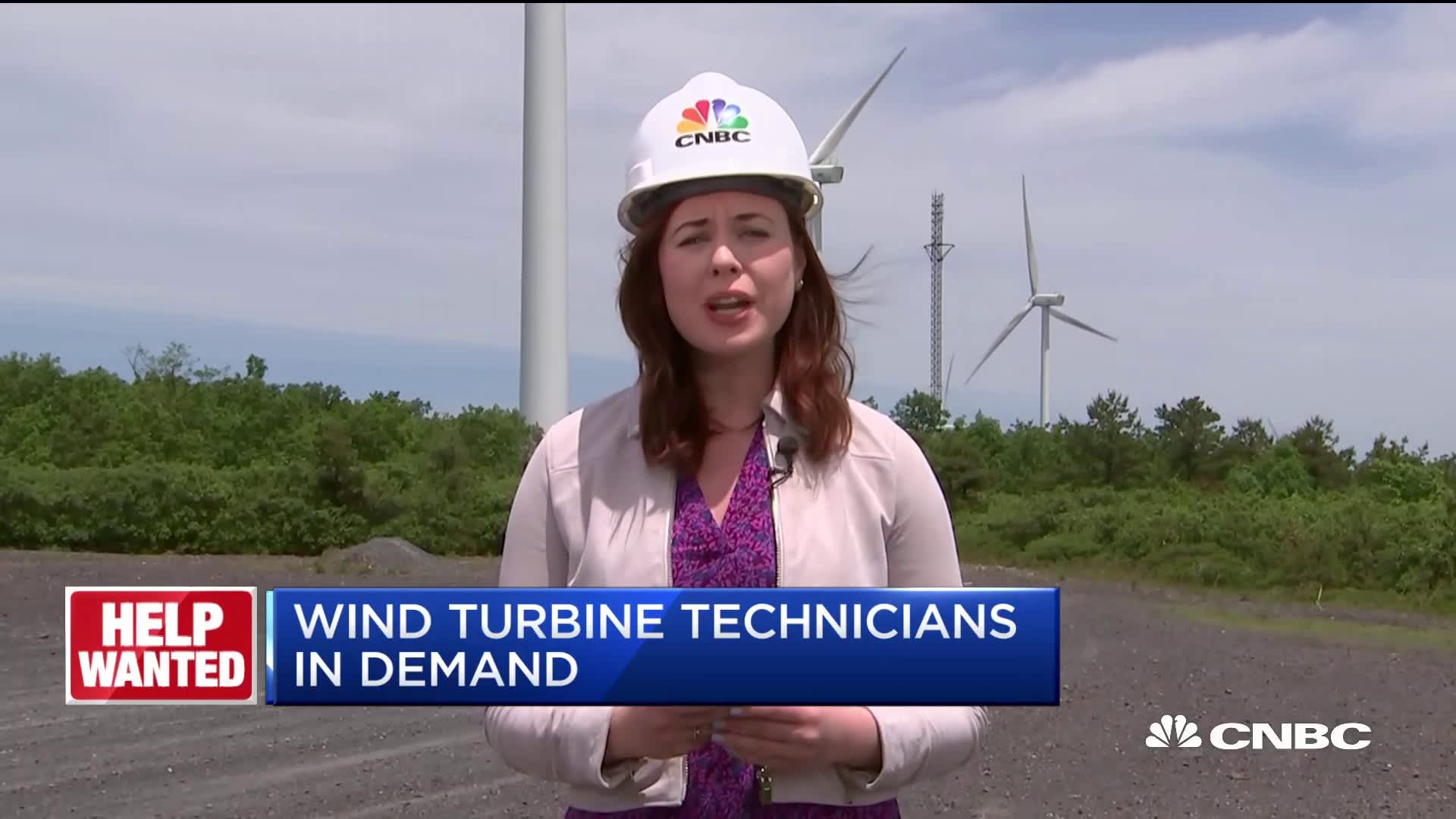 How Much Do Wind Energy Technicians Make? The Salary and Demand for