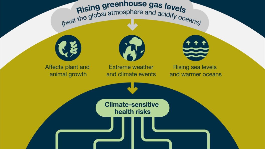 Code Climate Code. Quality Timeline A Detailed Timeline of Climate Change: From Ice Ages to IPCC