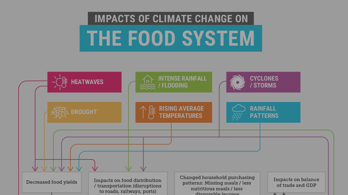 How Climate Change Is Threatening Global Food Production
