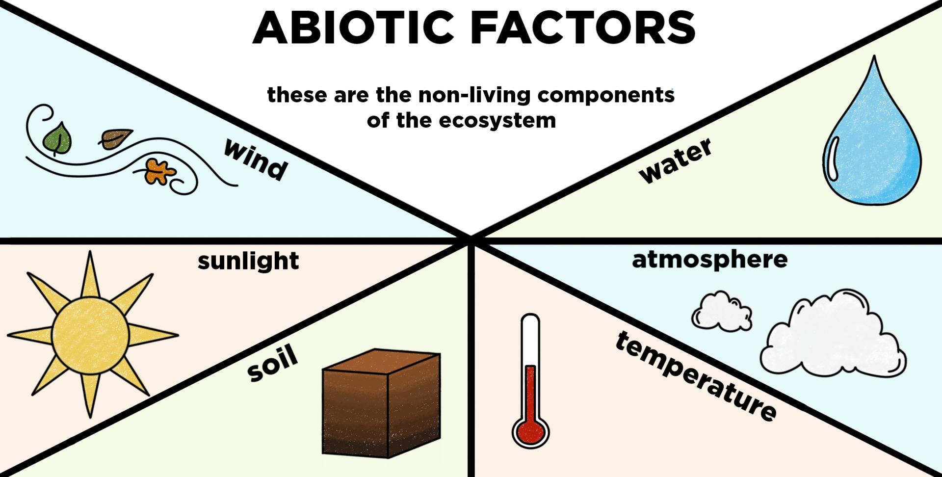 Desert Biomes 101: What Abiotic Factors Define Their Climate?