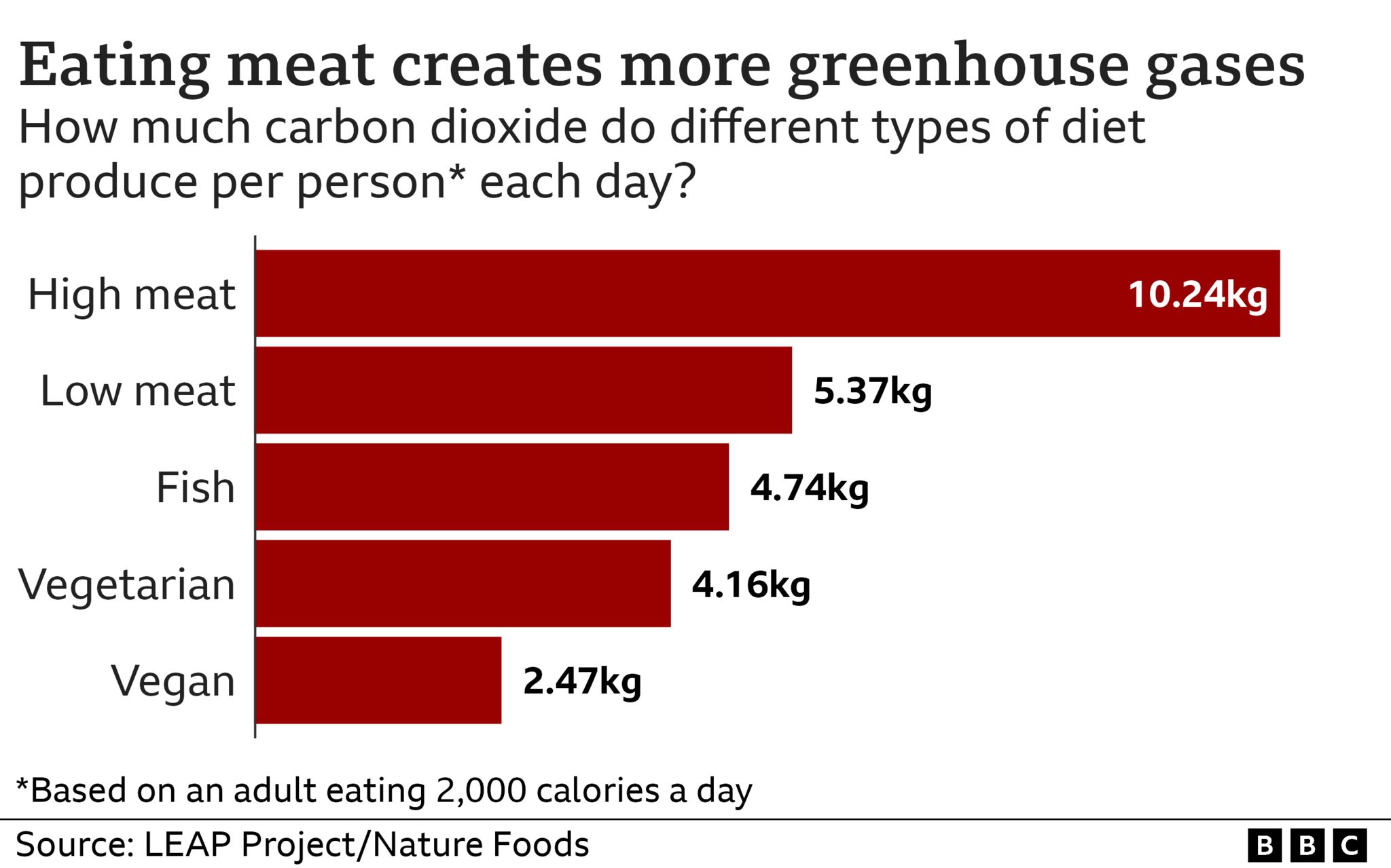 Skip the Steak: How Avoiding Meat Helps Fight Global Warming