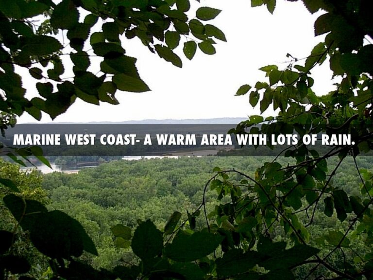 How are weather and climate different explained for everyone