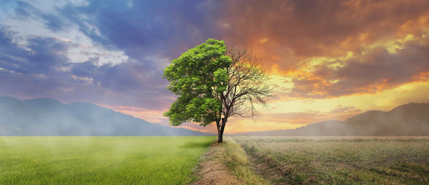 how-much-does-wind-energy-cost-per-kwh-breaking-down-the-cost-of-wind