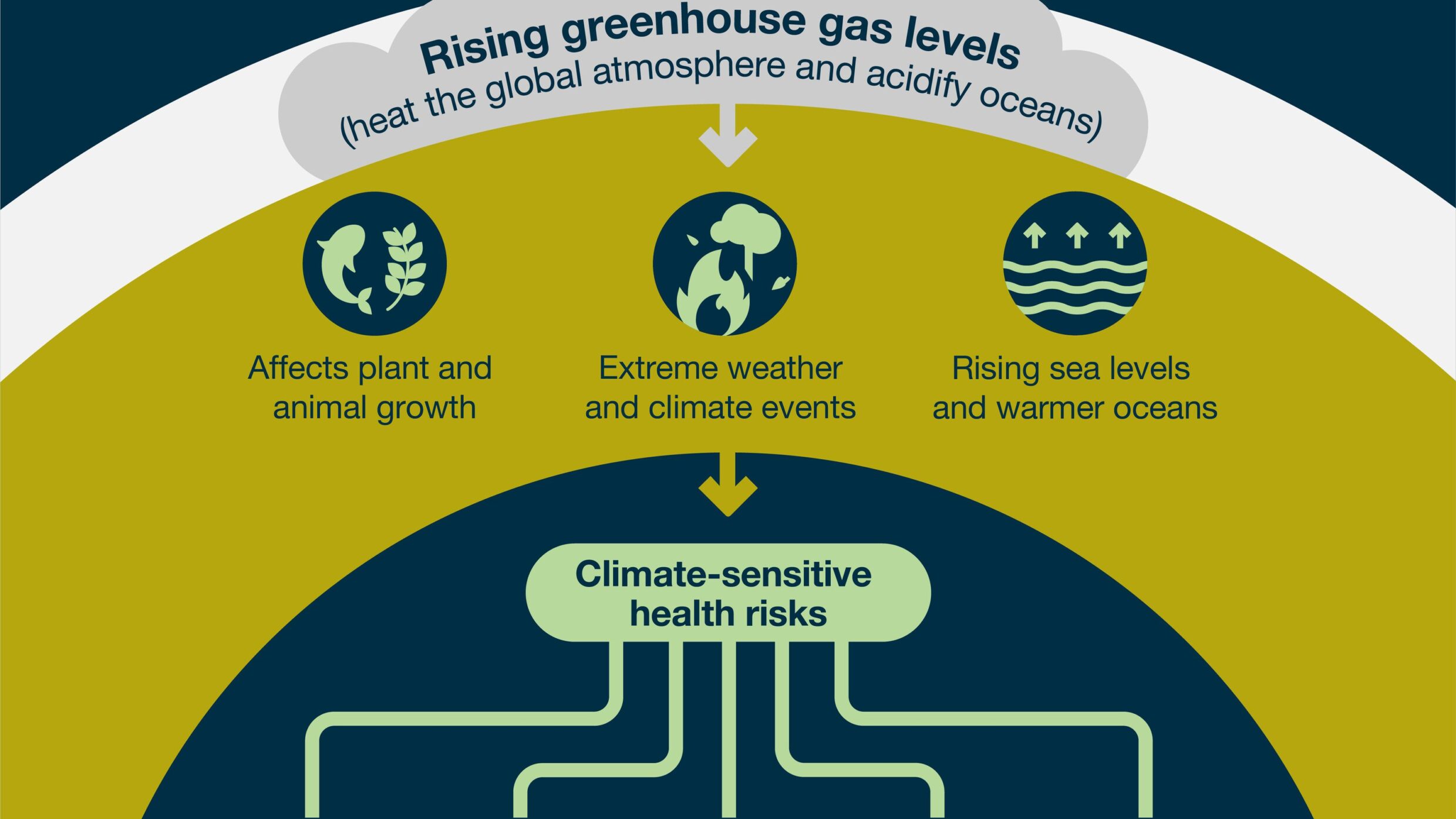How Will Climate Change Affect Human Health? From Heatwaves to Heart Risks