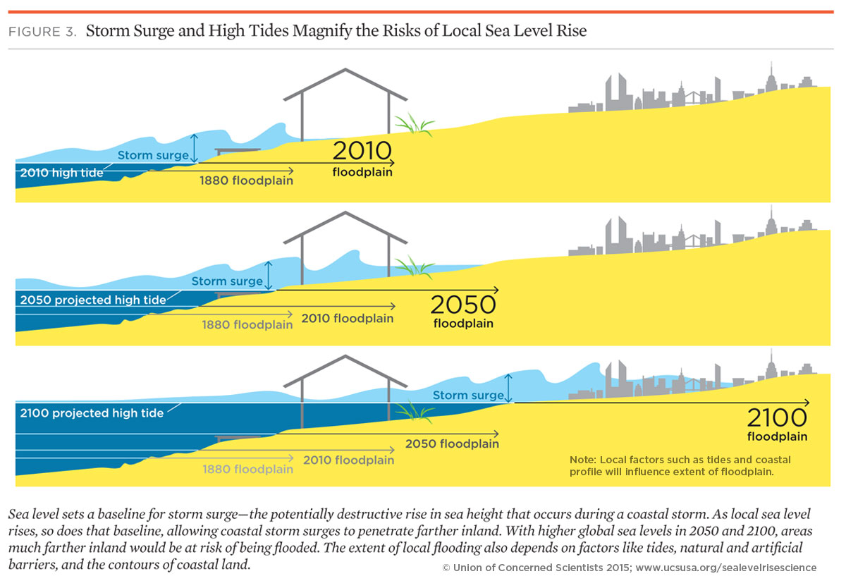 The Climate Loop: Understanding How Sea Level Rise Impacts Global ...
