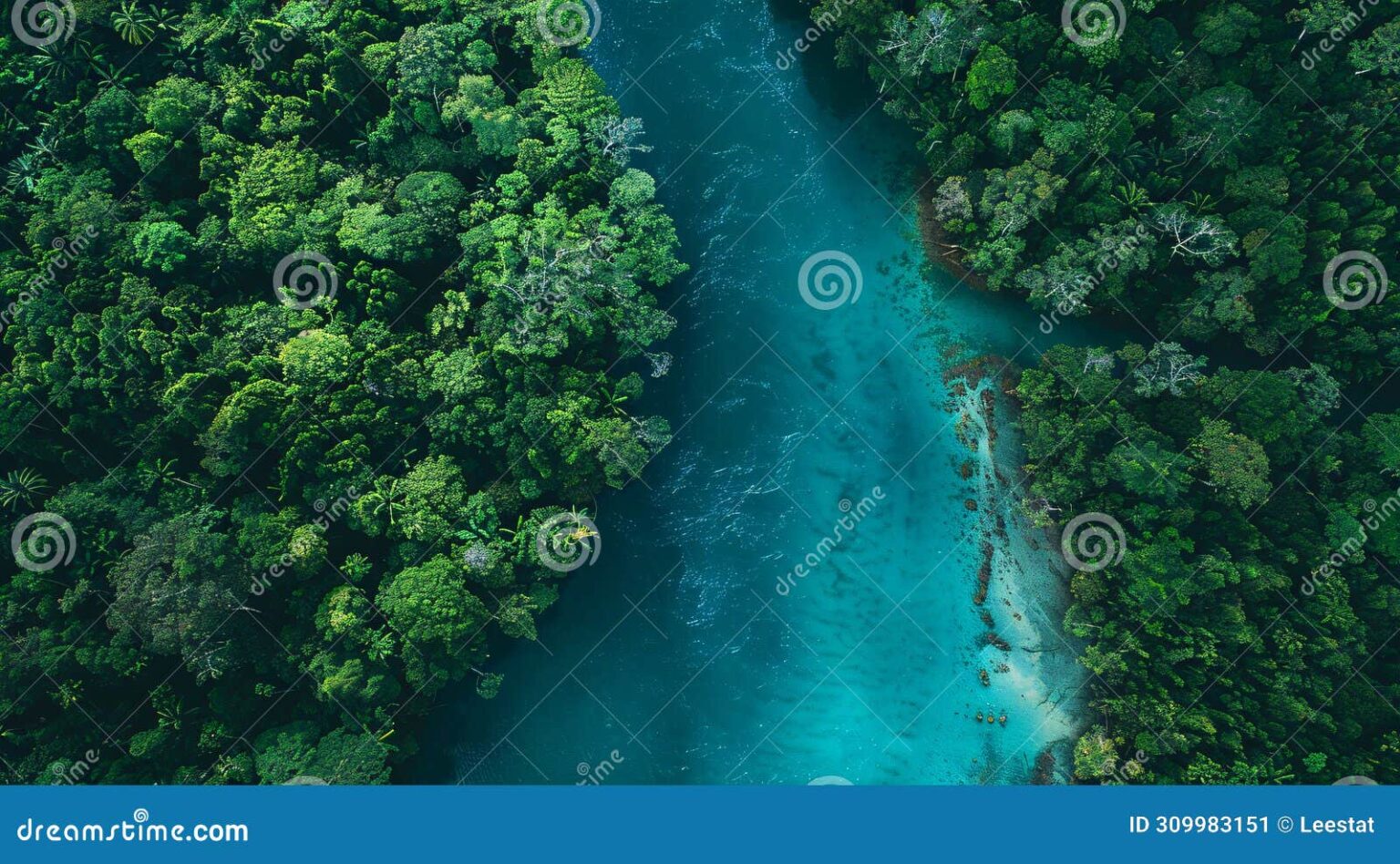 What Is the Climate of the Temperate Deciduous Forest? Mild and ...