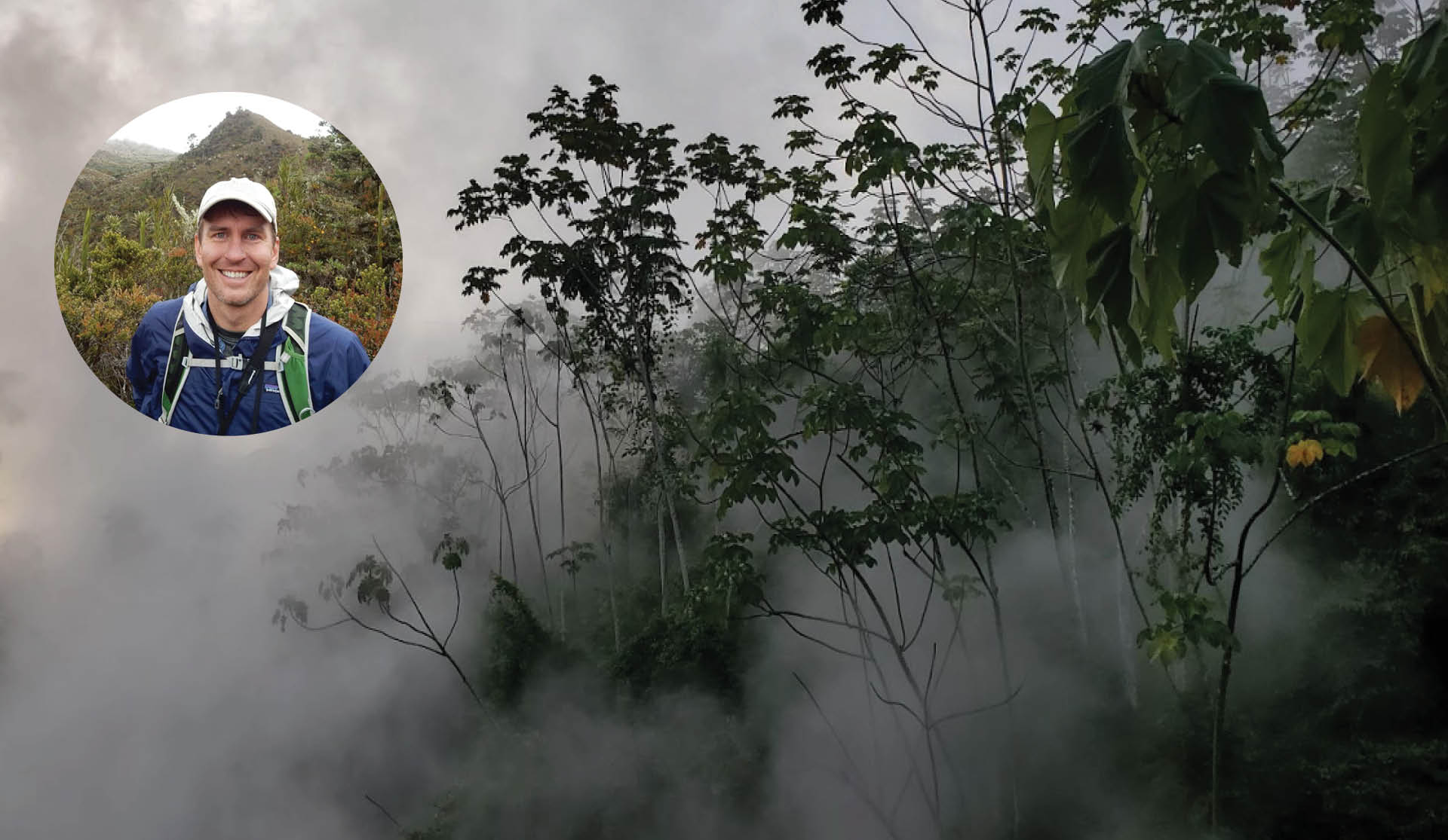 How Do Rainforests Control Global Warming? The Critical Role of ...