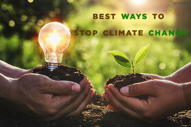 Stop Climate What Are the Best Ways to Stop Climate Change? Small Acts Big Impact